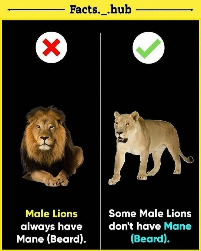 Your Thoughts ⬇️
follow @_.factopedia For More Amazing Facts
#factsdaily #factsonly #factstho #factsoflife #facts💯 #didyouknowfacts #psychologyfacts #doyouknow #instafacts #unknownfacts #trendingfacts #sciencefacts #viralfacts #gkfacts #facts❗❗ #coolfacts #knowledge #realfacts #generalknowledge #factsonfacts #allfacts #fact #instafacts #facts💯💯💯#factz #truefacts #dailyfacts