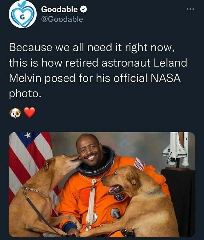 Real American Hero (T:goodable)