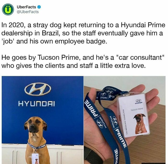 Employee Of The Decade (@uberfacts)