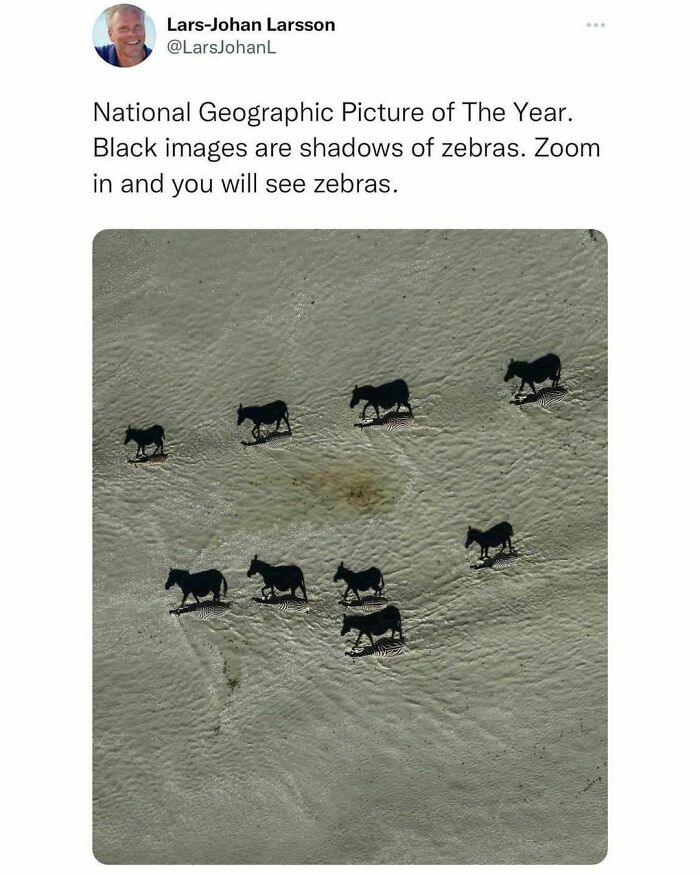 🏆🏆🏆 (@larsjohan.larsson / @natgeo)