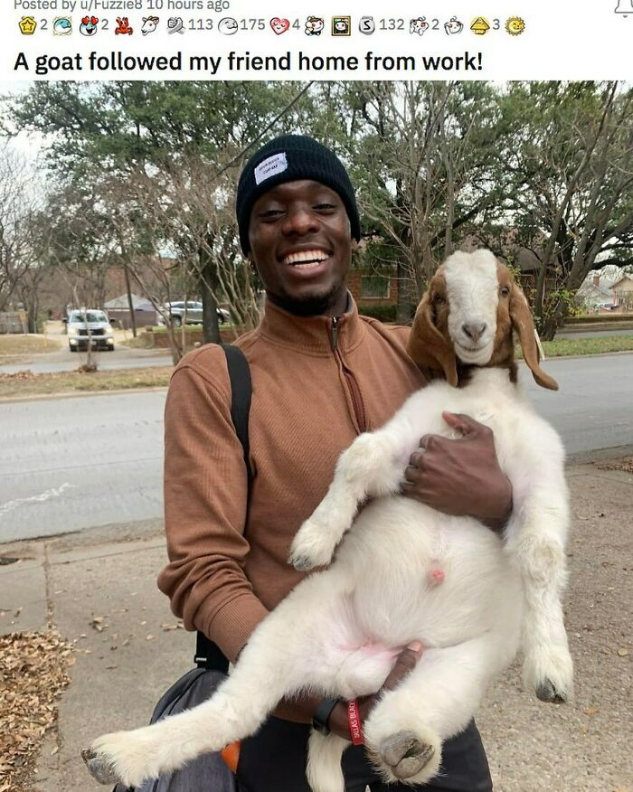 Winning (R:u/Fuzzie8)