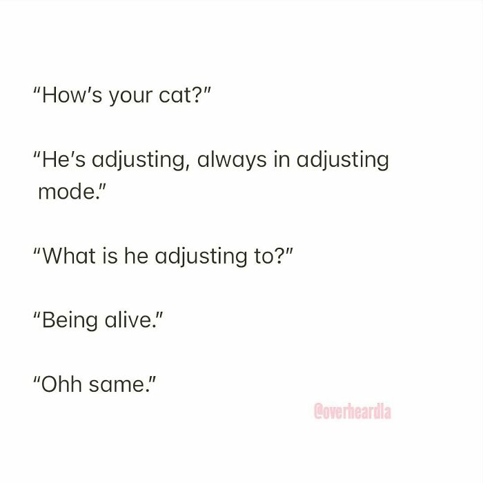 Semi-Tropic. Echo Park. 🌪🐈
overheard By @sarco_b 📥
#meouch #overheardla