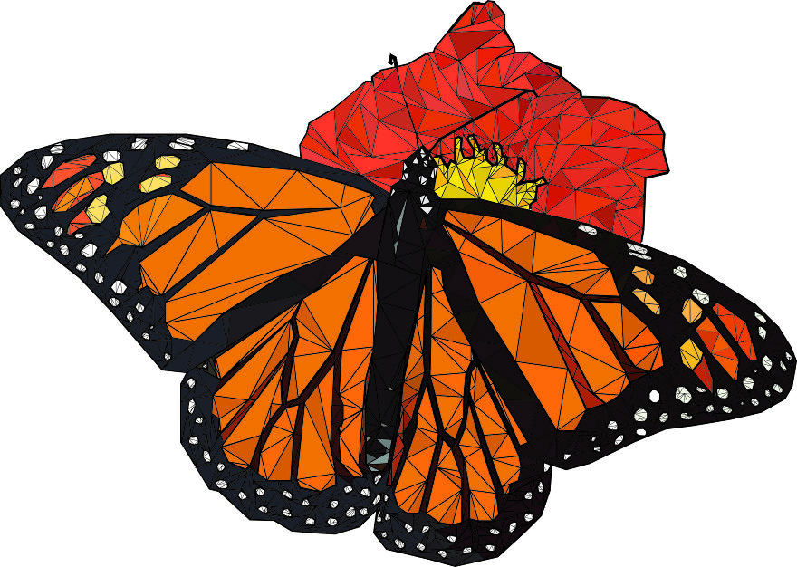 Cubist Butterfly I Made For Digital Art Class A Few Years Ago