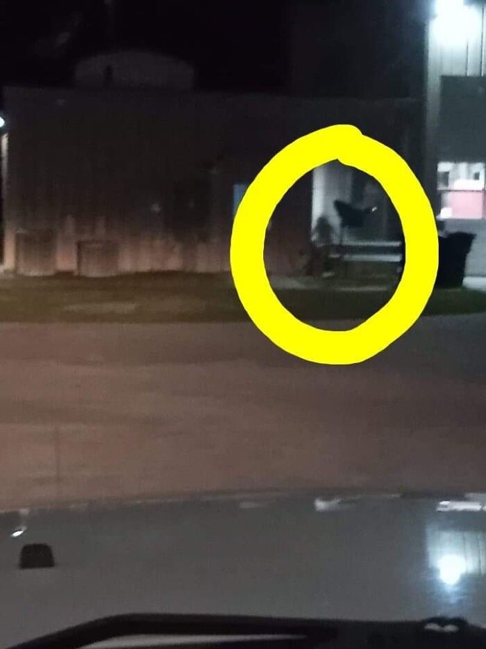 The F*** Am I Looking At Here!?!