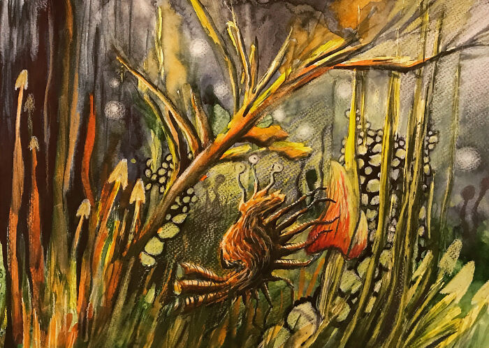 The Magical Forest Shrimp