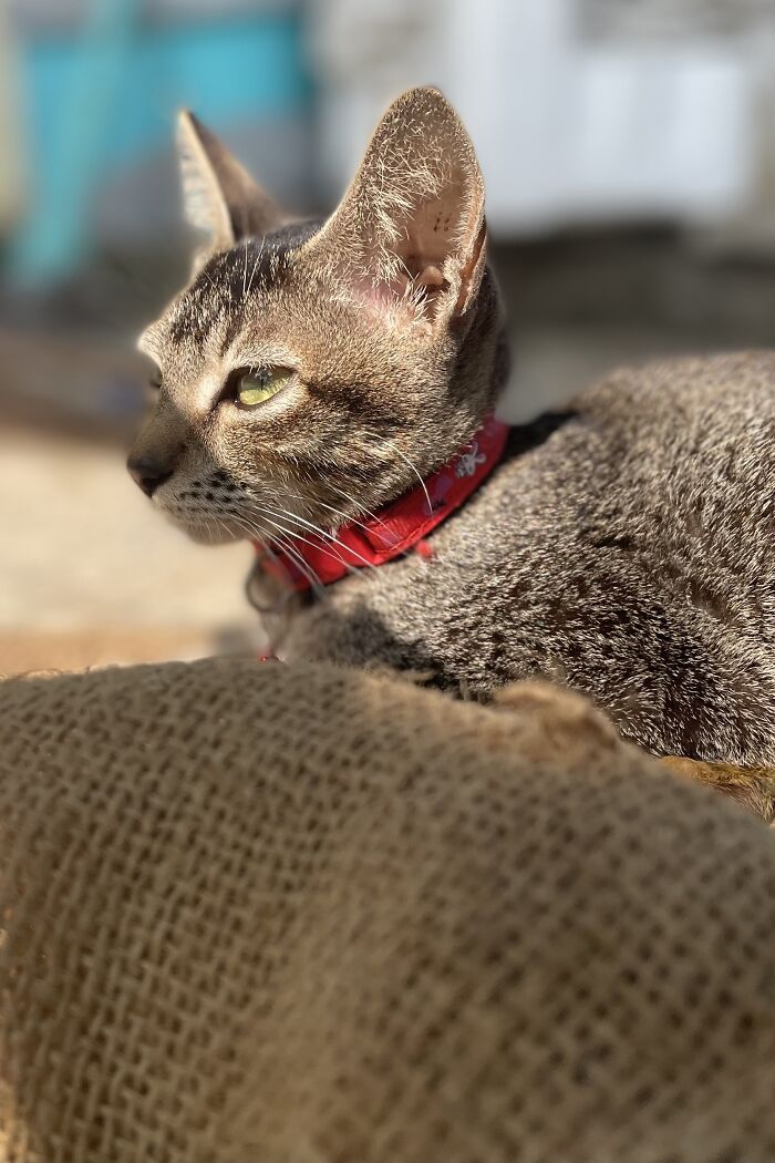 Let The Hunt Begin!!