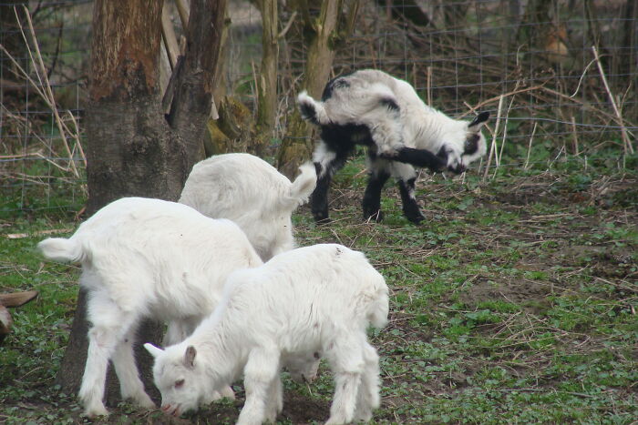 We Had So Much Fun Outside, Miss Them.