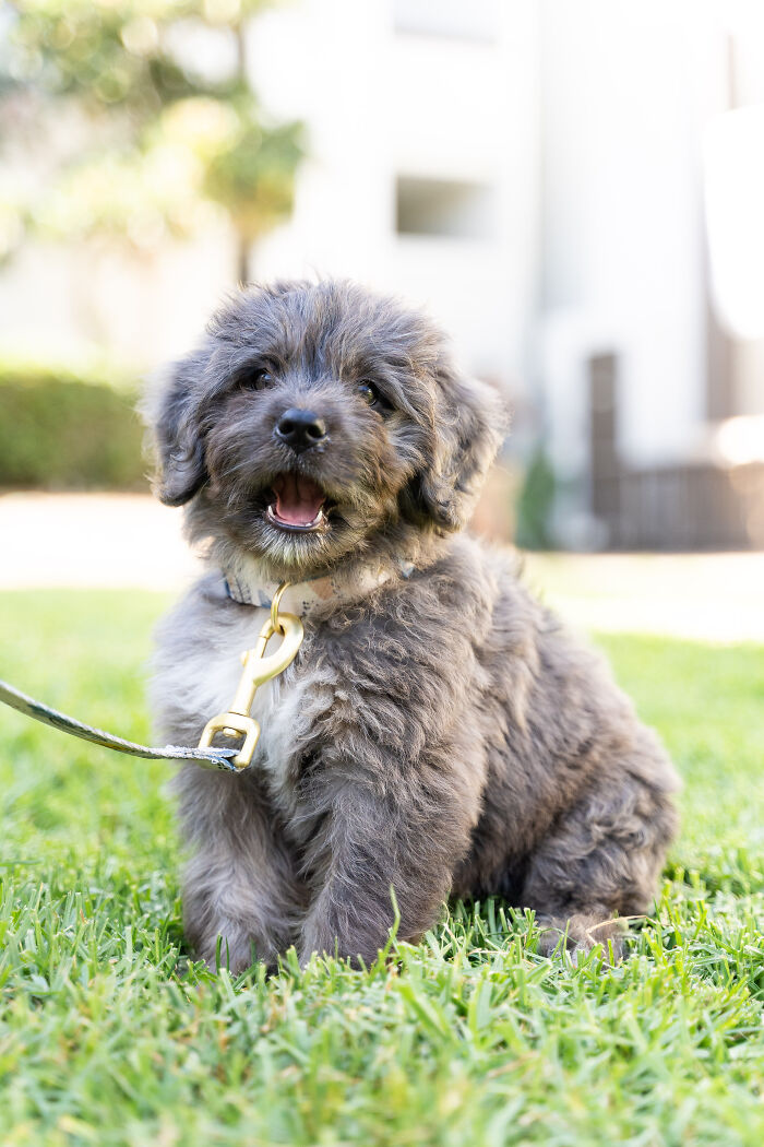 This Is Cali. Turning Heads Everywhere We Go :)