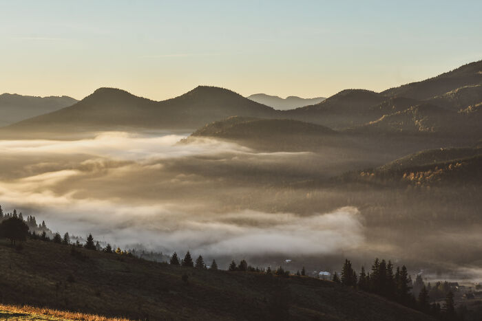 Mist-covered valleys and forested hills in the Ukrainian Carpathians during a serene early morning sunrise.