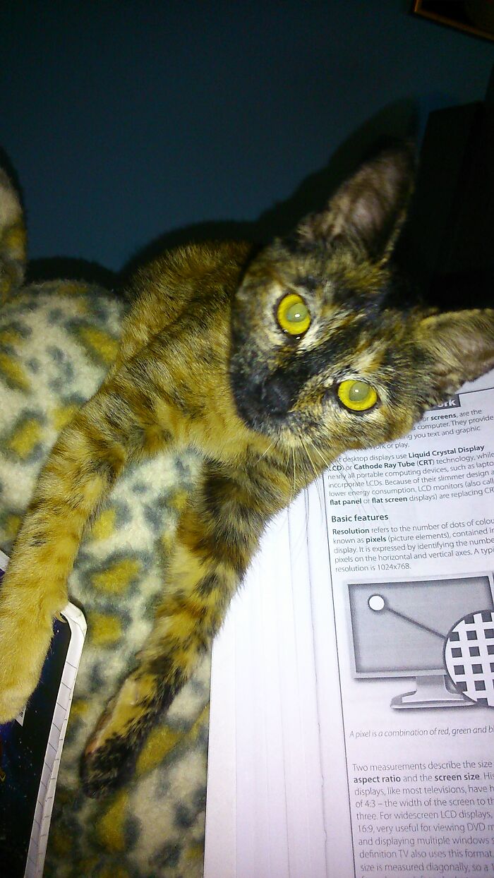 My Sunshine When She Was Old A Few Months. Helping Me To Study...