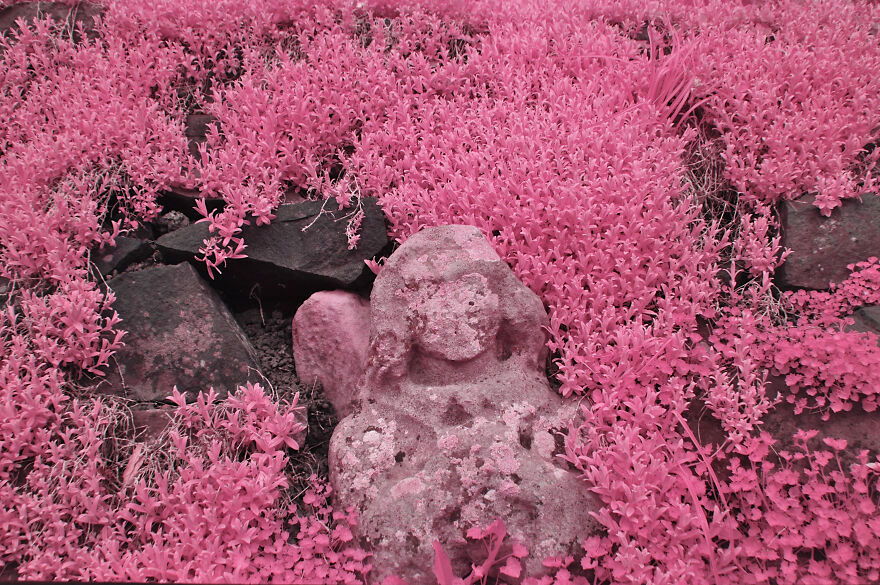 I Am A Newbie Infrared Photographer And Here Are Some Of My Best Pics So Far (15 Pics)