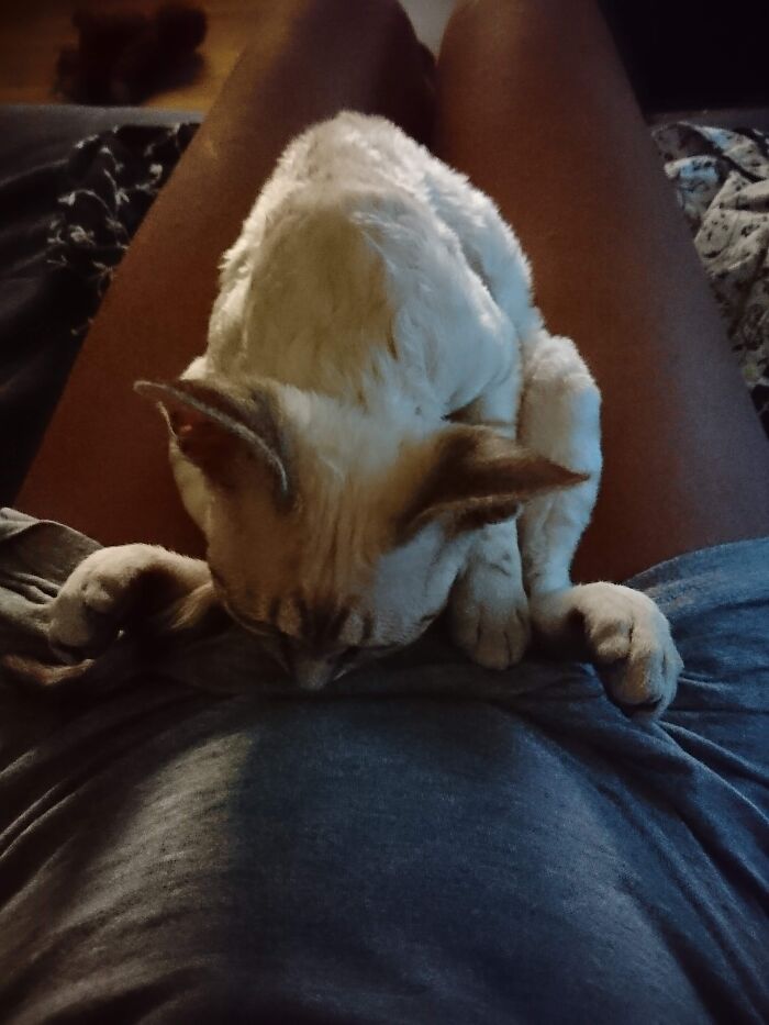 Baby Xafae In Her Favorite Sleeping Position