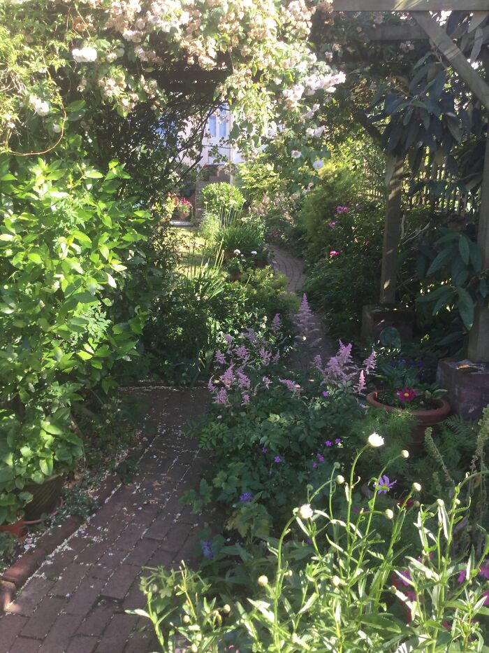 I Will Be Glad When It Is Summer Again