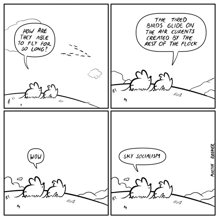 Black and white funny comic strip with birds discussing flying and unexpected social commentary in the final panel.