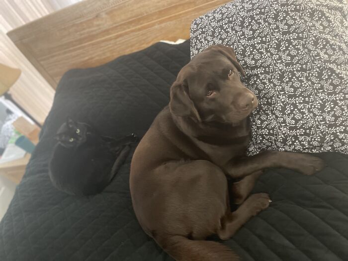 They Always Wait Together When I’m Showering