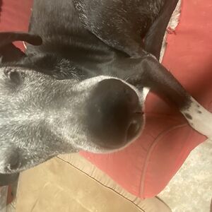 cartercone2007 avatar