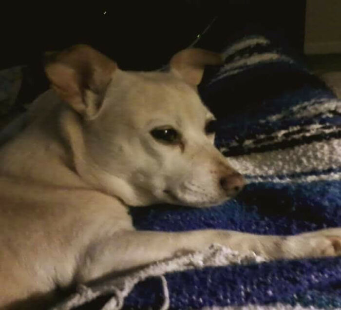 My Little Girl Mia. I Miss Her So