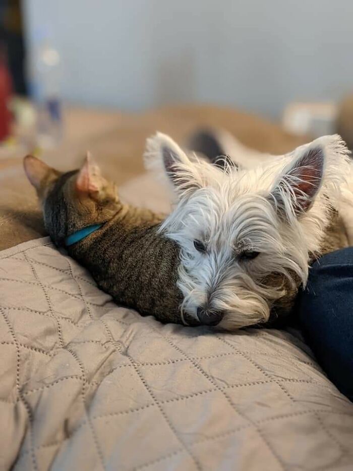 Aisling (Left) & Sophie (Right)