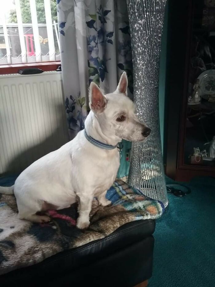 My Beautiful Boy Kai