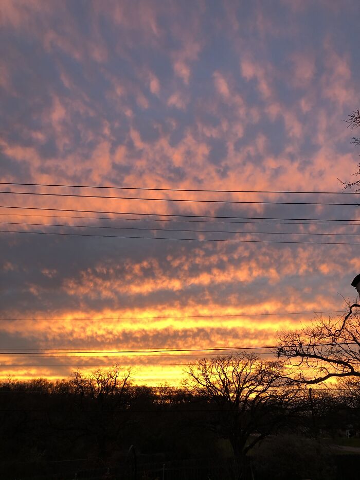 From My Porch In Texas