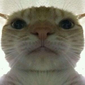 jademessenger avatar