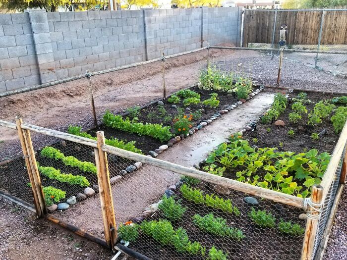 Plants Make Me Happy