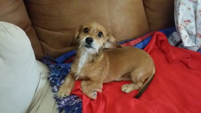 Baby Griswold First Day Home