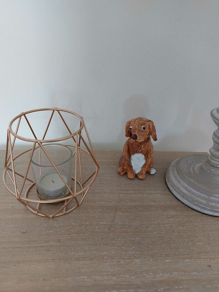 A Candle And A Doggo I Got From My Cousin