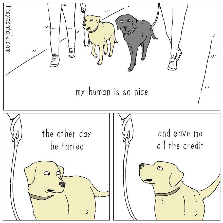 Humorous Conversations Animals Would Have If They Could Talk (New Pics)