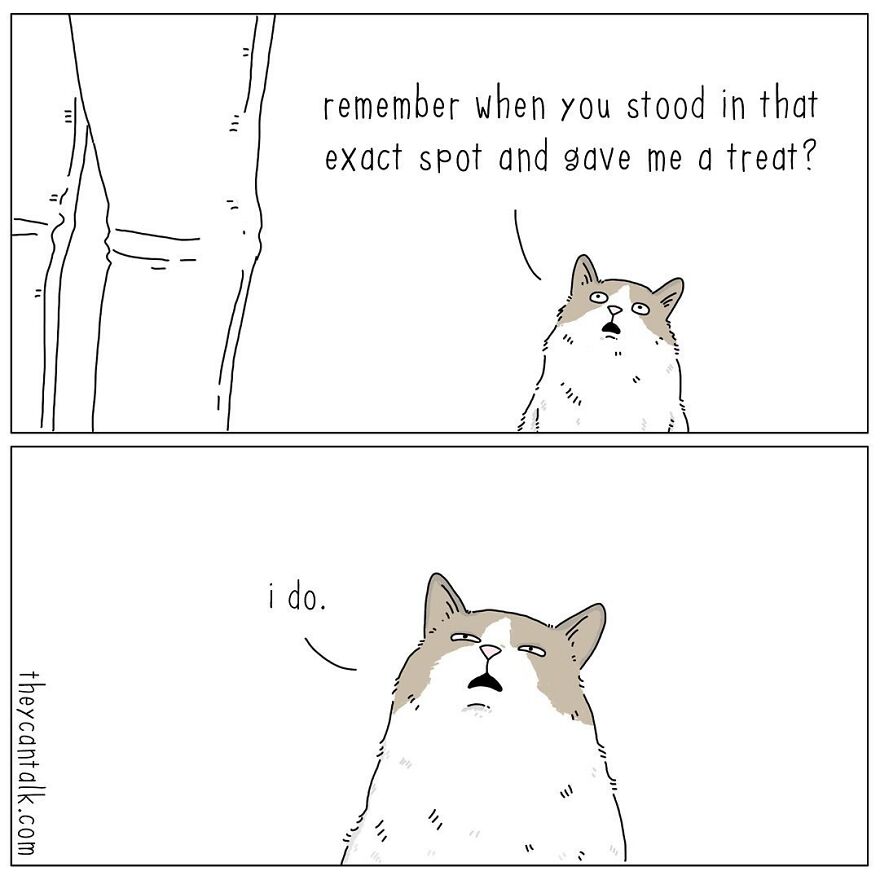 Humorous Conversations Animals Would Have If They Could Talk (New Pics)