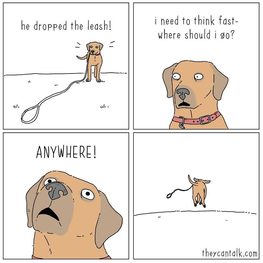 Humorous Conversations Animals Would Have If They Could Talk (New Pics)