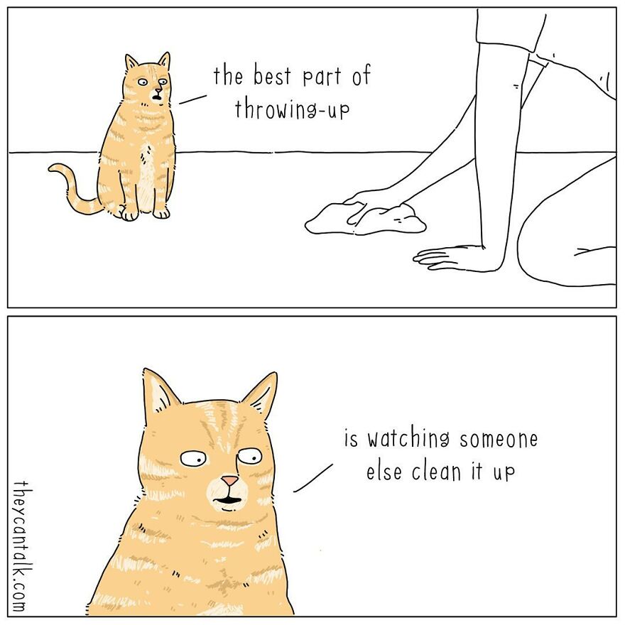 Humorous Conversations Animals Would Have If They Could Talk (New Pics)