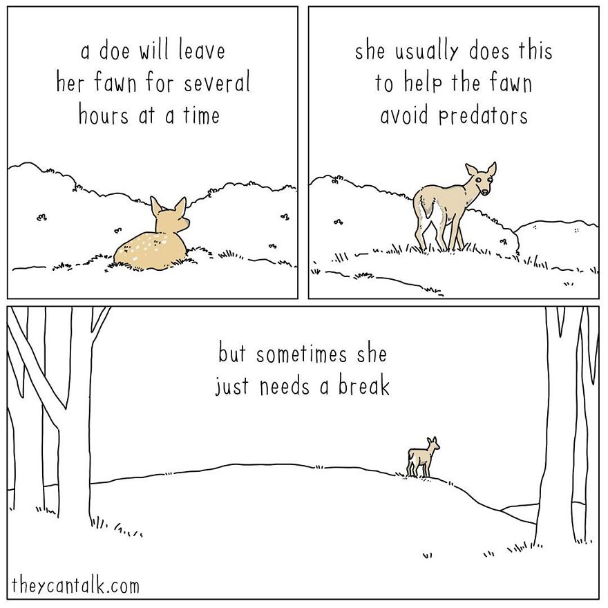 Humorous Conversations Animals Would Have If They Could Talk (New Pics)