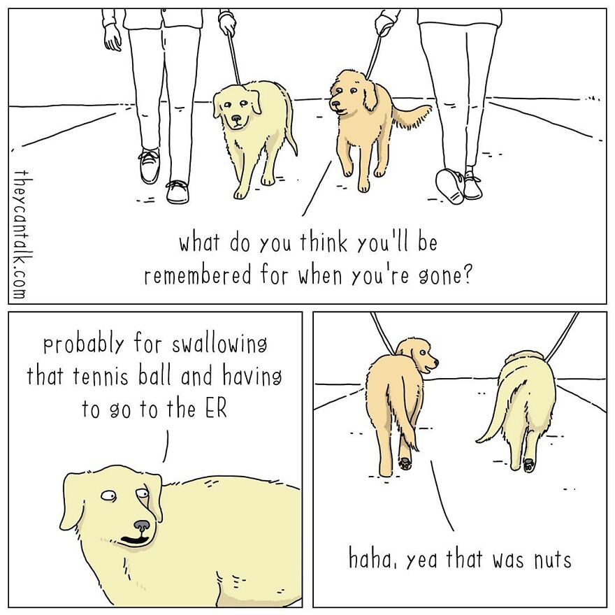 Humorous Conversations Animals Would Have If They Could Talk (New Pics)