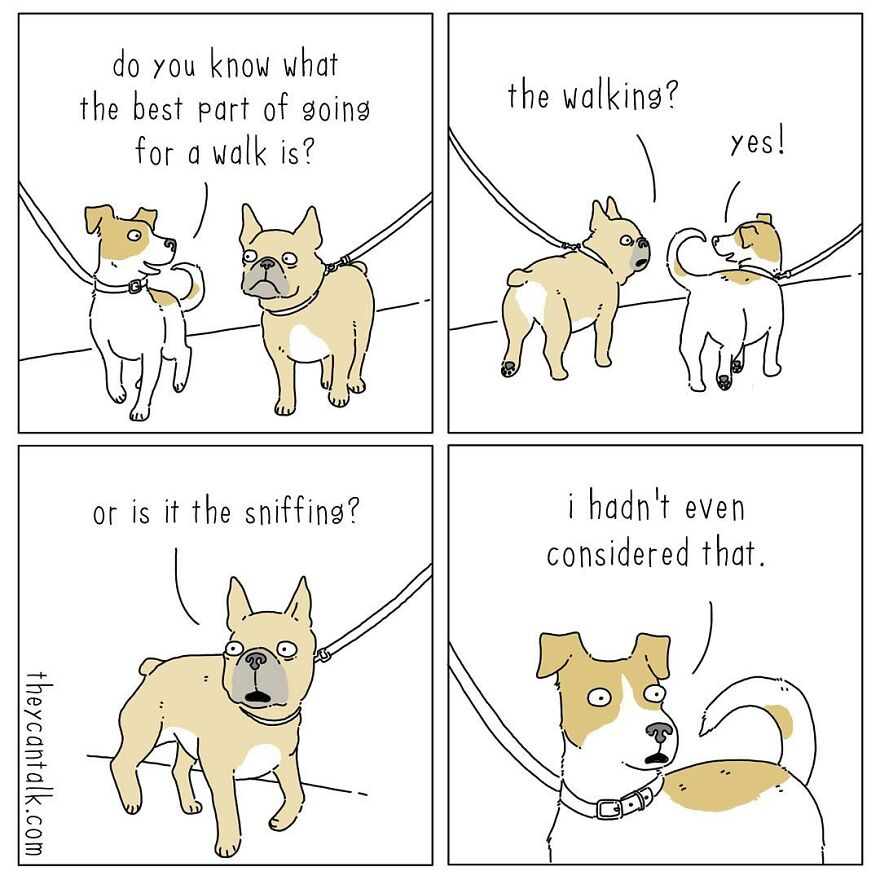 Humorous Conversations Animals Would Have If They Could Talk (New Pics)