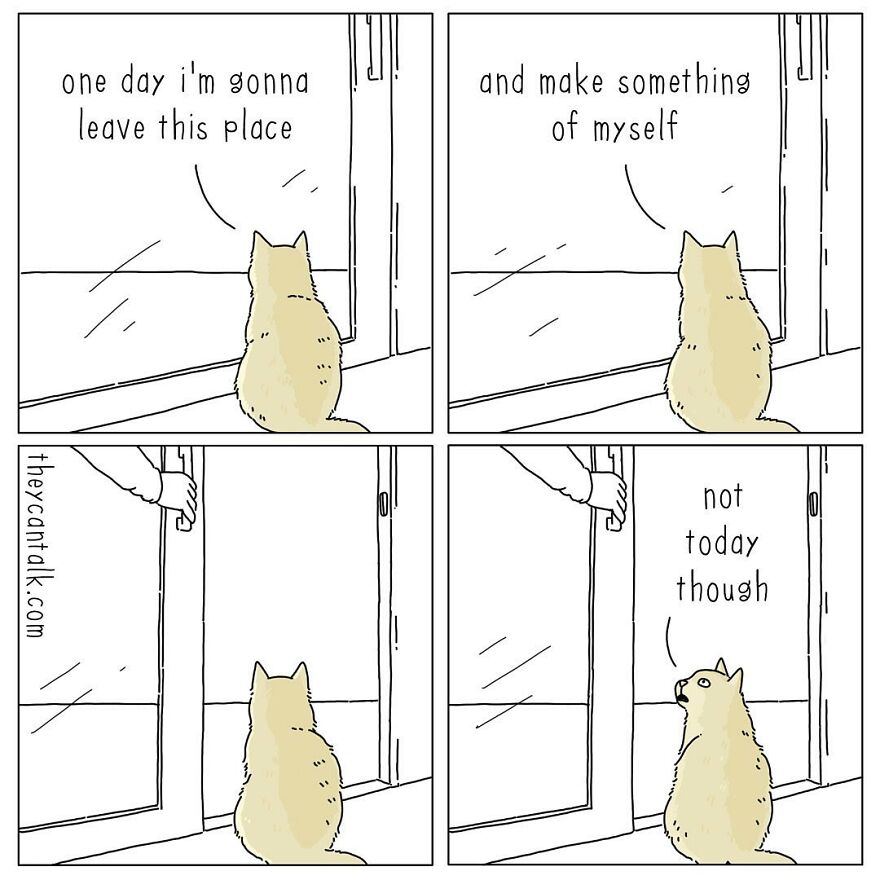 Humorous Conversations Animals Would Have If They Could Talk (New Pics)