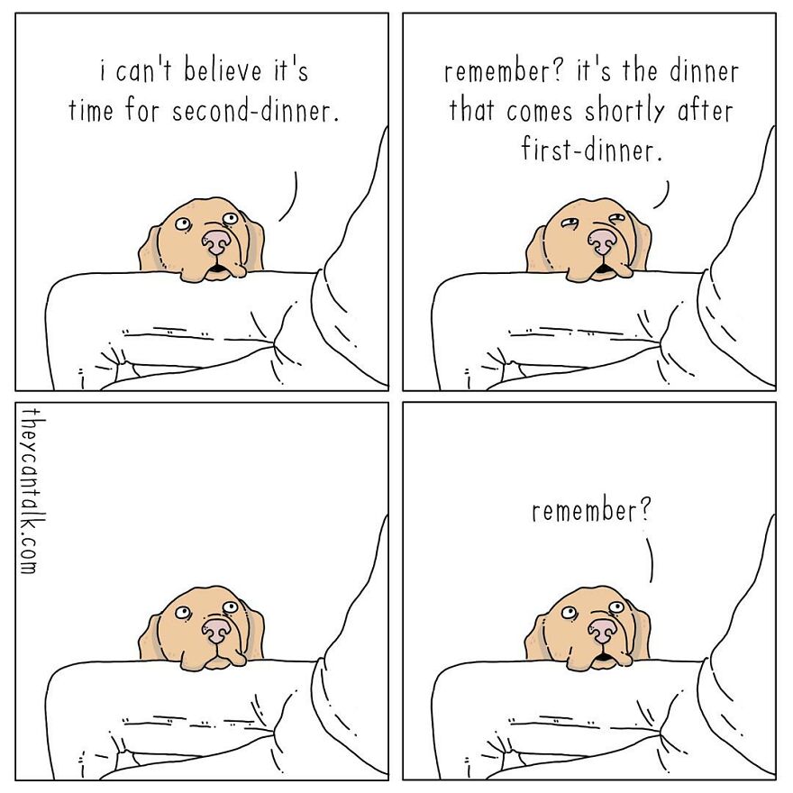 Humorous Conversations Animals Would Have If They Could Talk (New Pics)