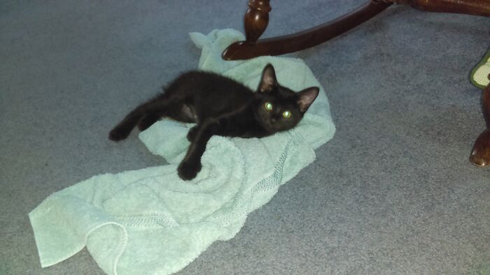 Aurora When I First Got Her