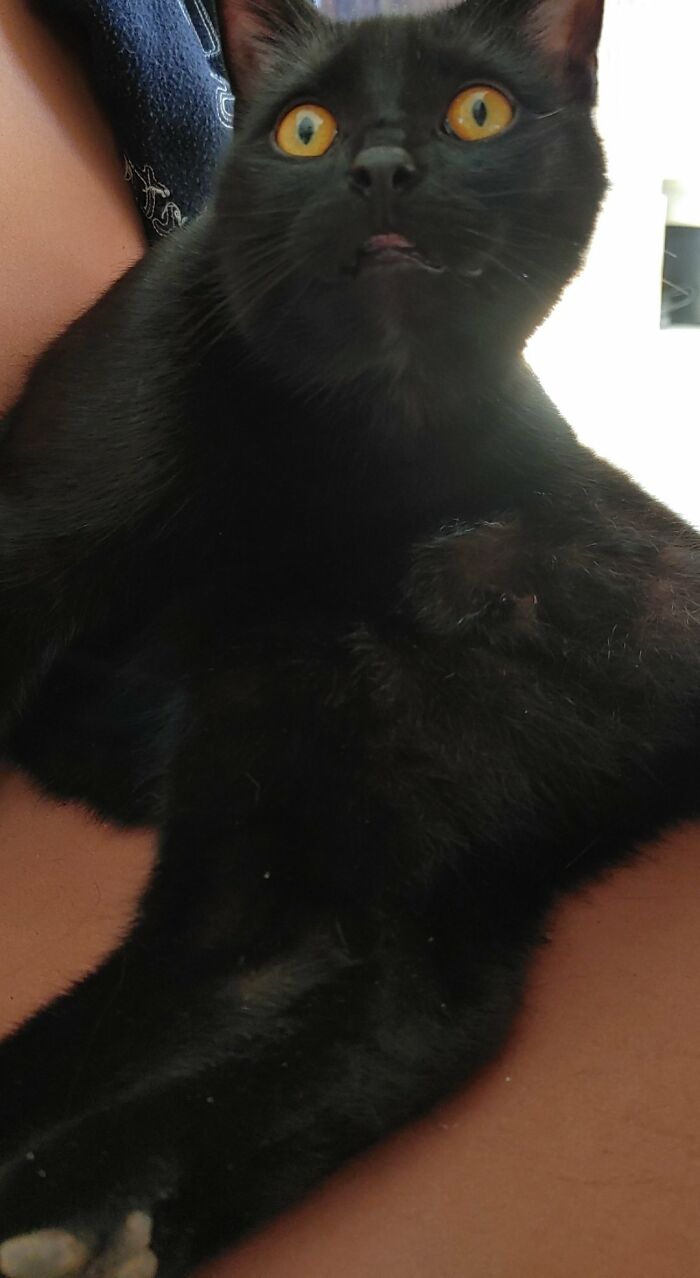 Caught Him Licking His Crotch