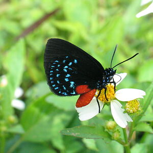 gregg_pentecost avatar