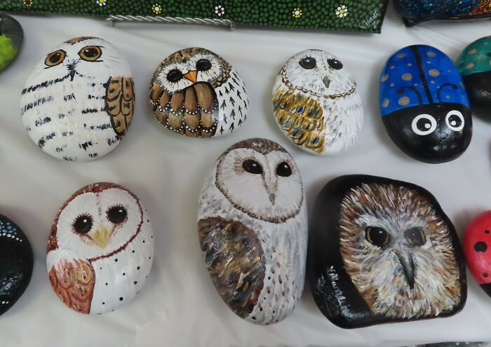 #202 Owls Painted On Rocks