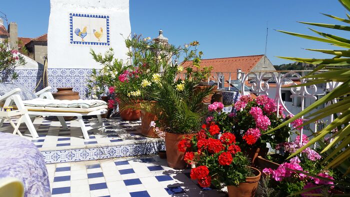 My 4th Floor Terrace Garden