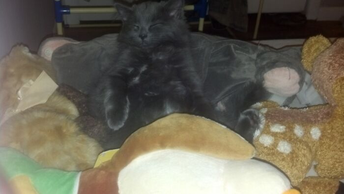 Widget Pretending She's E.t.