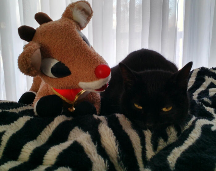 Caviar's Christmas Vibe