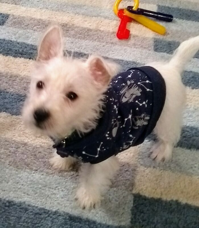 Sophie In Her Space Hoodie