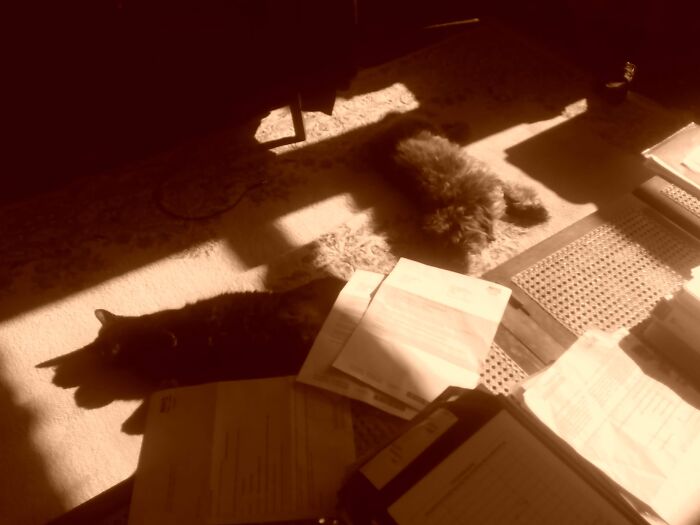 A Nap In The Sun (They Forgot Each Other's Existence)