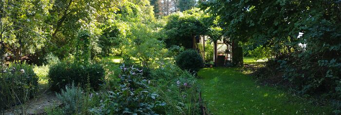 Our Garden Two Years Ago