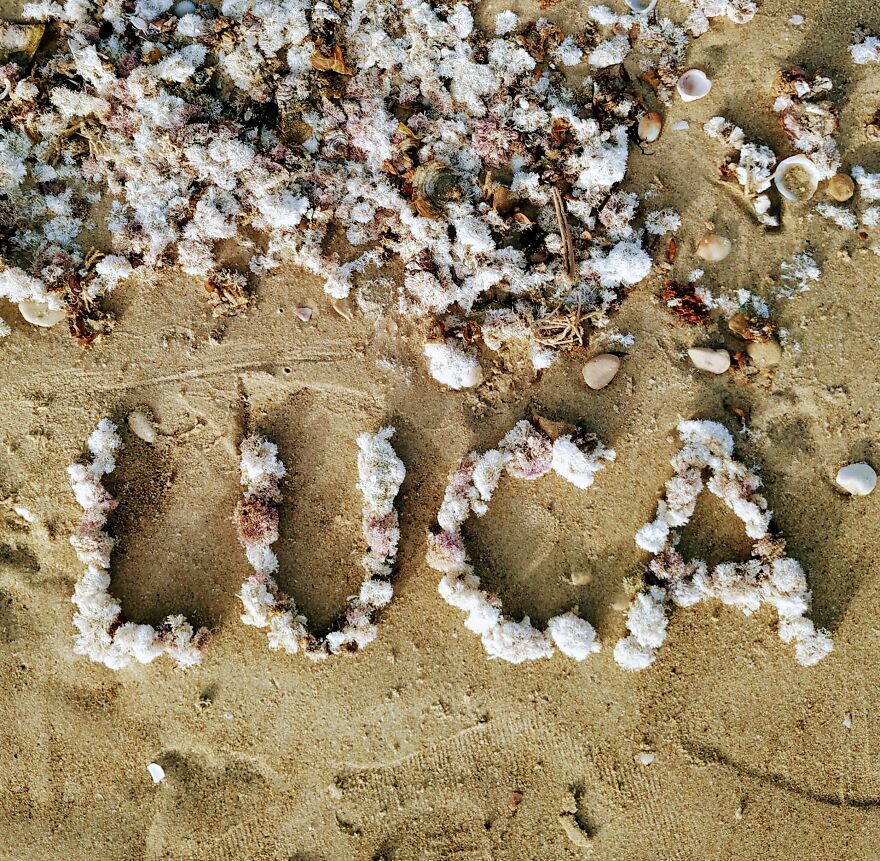 I Create "Luca"S In A Memory Of My Best Friend Who Died In An Aircrash At The Age Of 33.