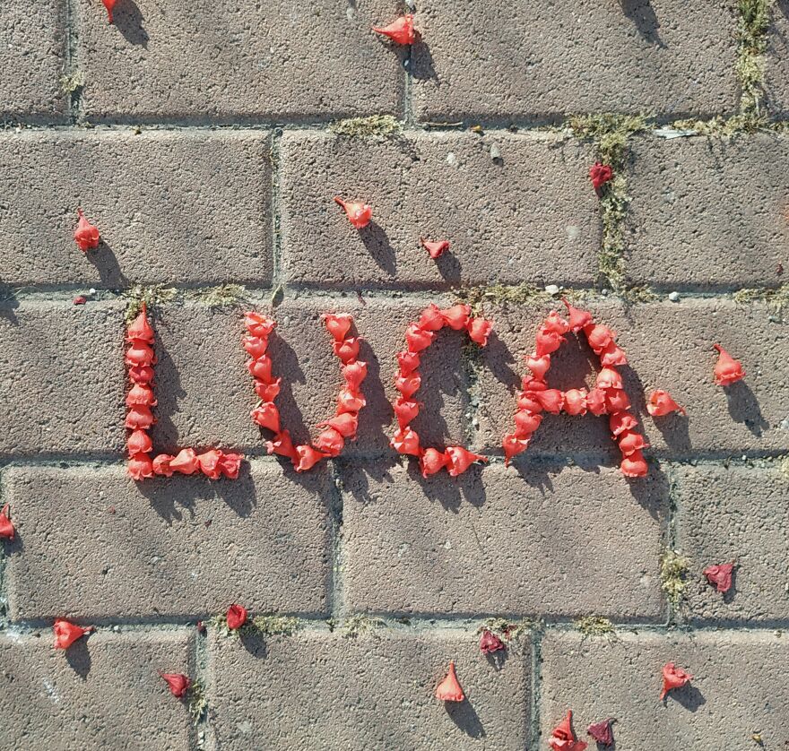 I Create "Luca"S In A Memory Of My Best Friend Who Died In An Aircrash At The Age Of 33.