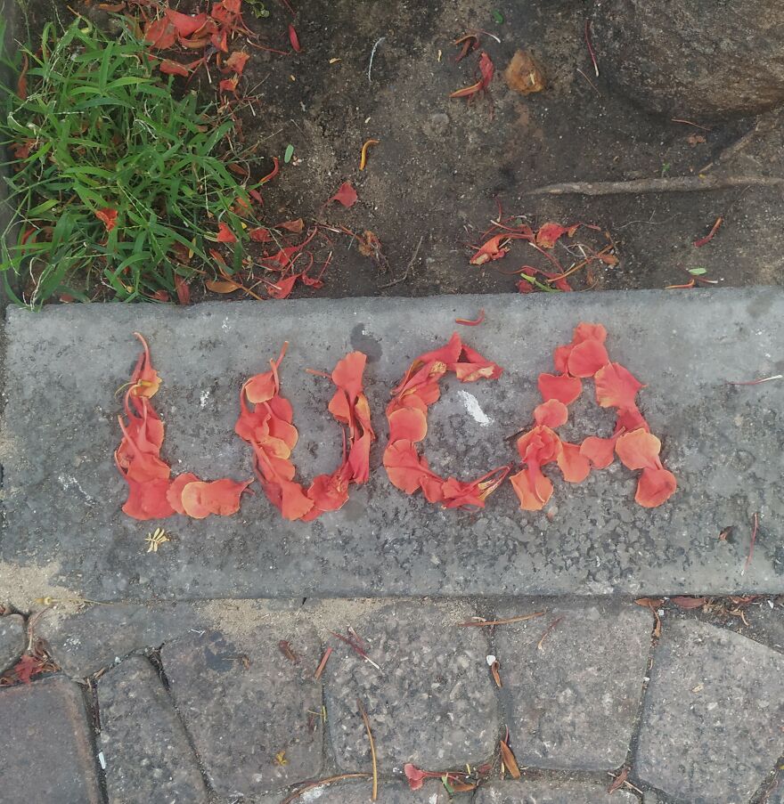 I Create "Luca"S In A Memory Of My Best Friend Who Died In An Aircrash At The Age Of 33.